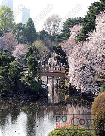 Vuon quoc gia Shinjuku Gyoen