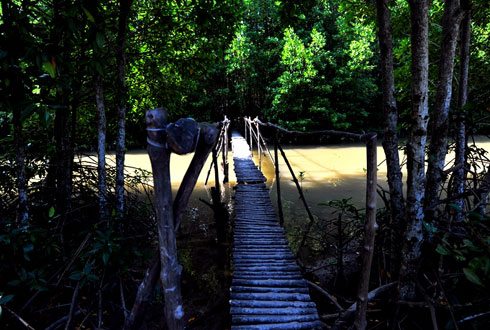 kham pha vung dat ca mau