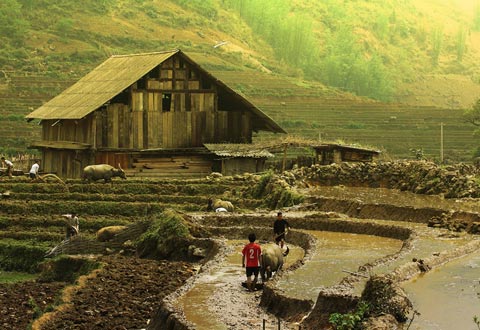 phu nu ra cho , dan ong lam ruong