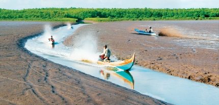 bai boi mui ca mau