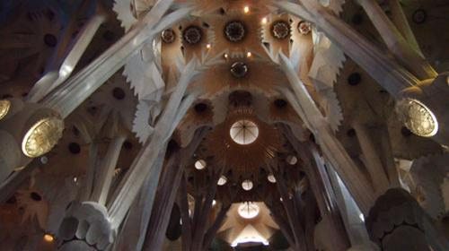 mai vom trong sagrada familia