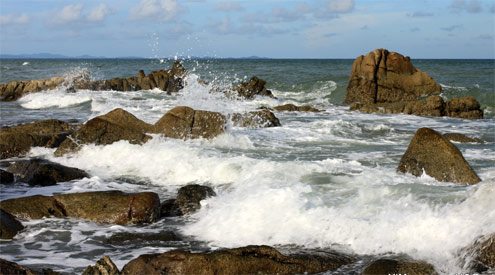 nhung tang da bi bao mon