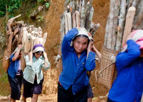 phu nu muong gui cui ve nha