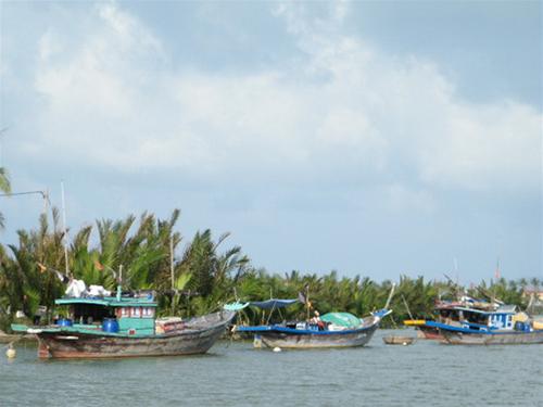 rung dua la noi neo dau tranh bao