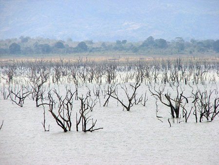 udawalawe reservoir