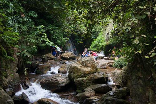 loi nguoc dong len thuong nguon