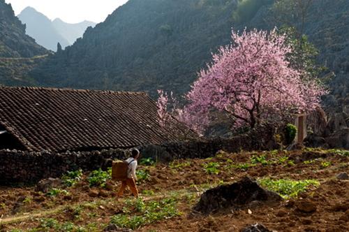 du lich vung cao ha giang