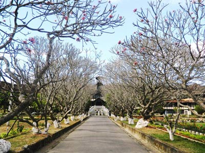 du lich kon tum tham quan chung vien thua sai