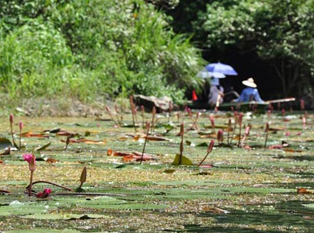 7 diem du lich quanh ha noi 3