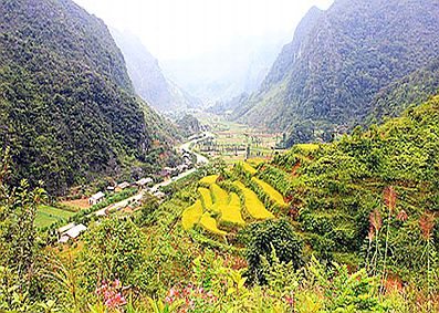 oc dao sung la tai ha giang