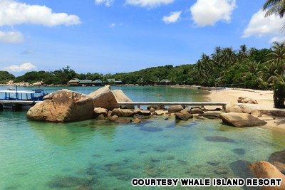 du lich khanh hoa nghi duong tai whale island