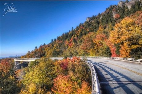 buoi sang o cau linn cove viaduct