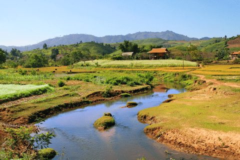 mui huong noi lang que cao nguyen lam am long nguoi xa que