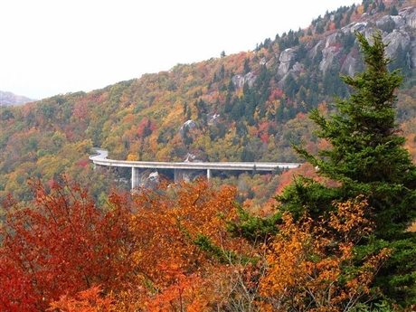 cay cau linn cove viaduct lac giua thien nhien