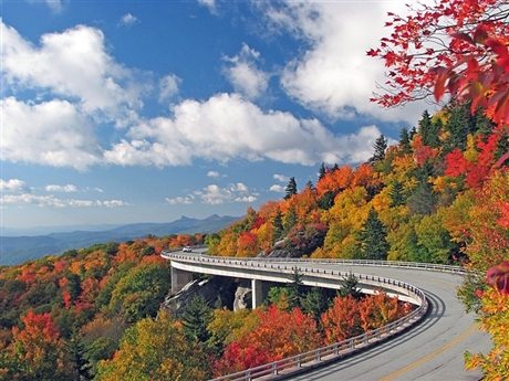 cay cau linn cove viaduct