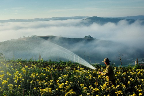 thanh pho cua ngan hoa da lat