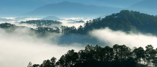 thuong thuc cai lanh va man suong o da lat