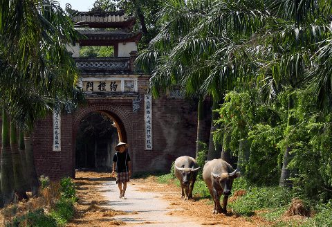 quay ve que huong tan huong cam giac binh yen