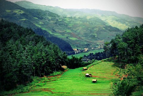 kham pha mu cang chai xinh dep khi du lich den yen bai