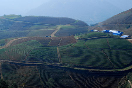 nuong rau cung la mot mon dac san tai sapa