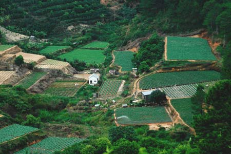 thung lung tran ngap mau xanh