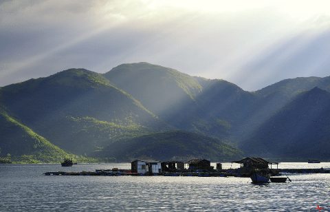 tri nguyen - nha trang