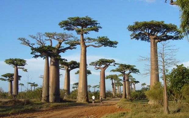 Quoc dao Madagascar