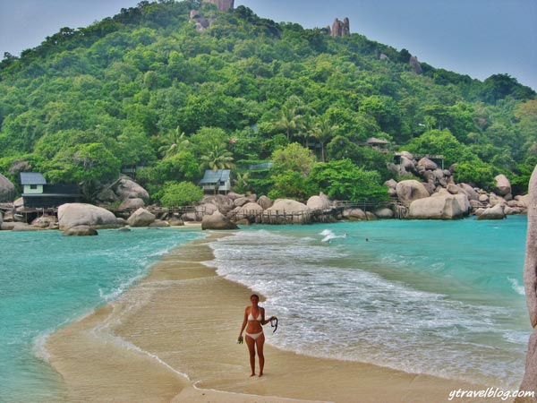 Dao Koh Tao o Nam Thai Lan