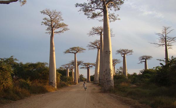 Quan dao noi tieng Madagascar