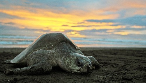 Du lich Costa Rica