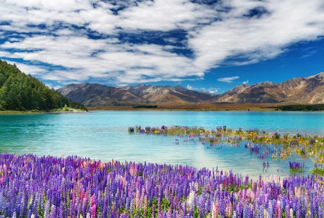 Du lich ho Tekapo