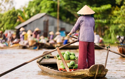 Cho noi o vung song nuoc