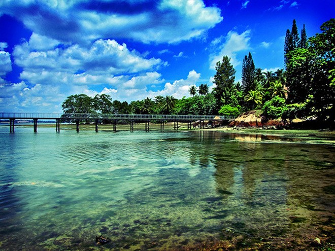 Dao Pulau Ubin