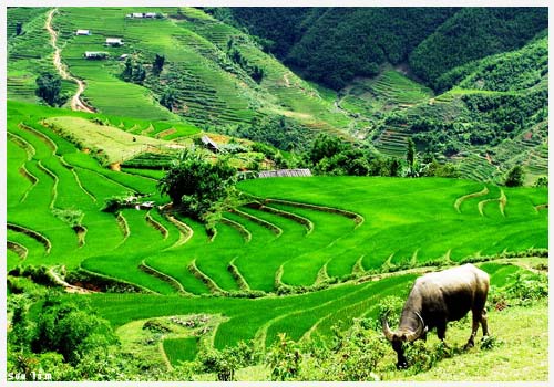 Kham pha ruong bac thang