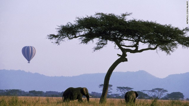 Tham quan cong vien quoc gia Serengeti