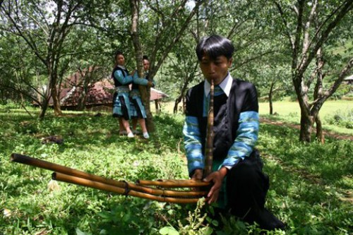 Cho tinh Khau Vai