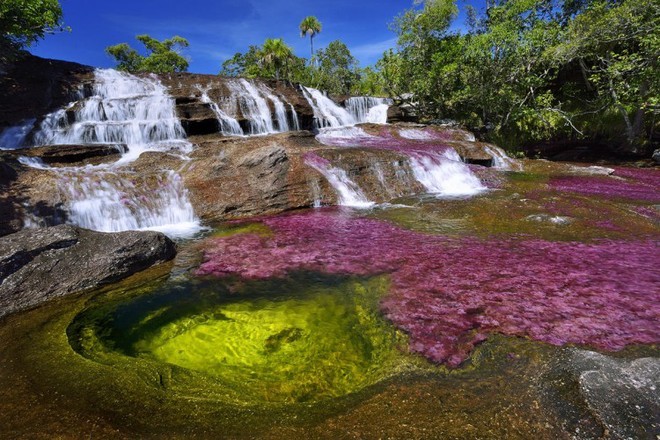 Du lich Cano Cristales