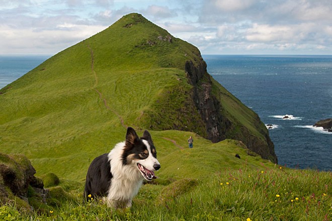 Quan dao Faroe