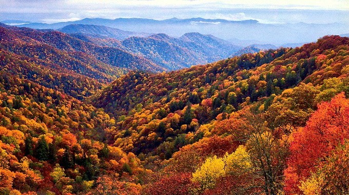 Sac thu o Great Smoky Mountains