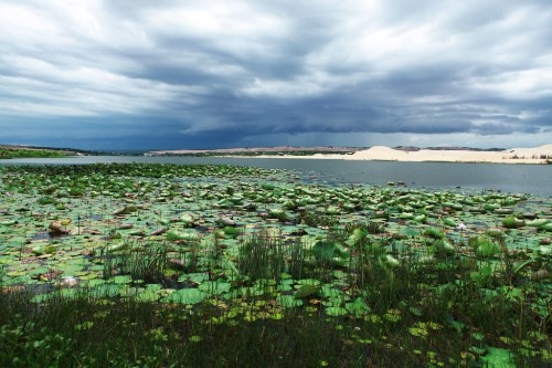 Khung canh thien nhien o Bau Trang