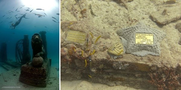 Nghia trang Neptune Memorial Reef