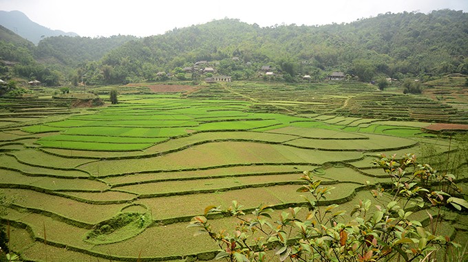 Nhung thua ruong bac thang o xu Muong