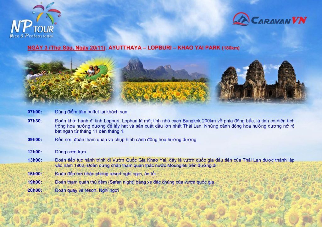 CRV SUNFLOWER-4