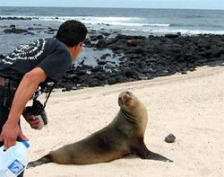 Dao Galapagos