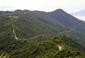 Duong tren ban dao Son Tra