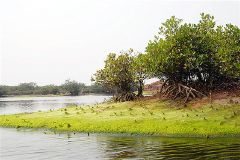 du lich sinh thai o xuan thuy