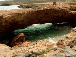 cay cau tu nhien boca andicuri