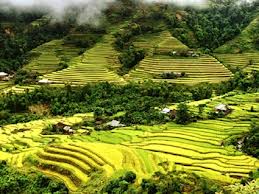 La Chi Ha Giang