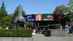 vancover aquarium