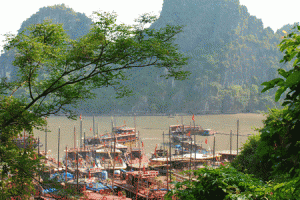 thuyen dau ben trong vinh